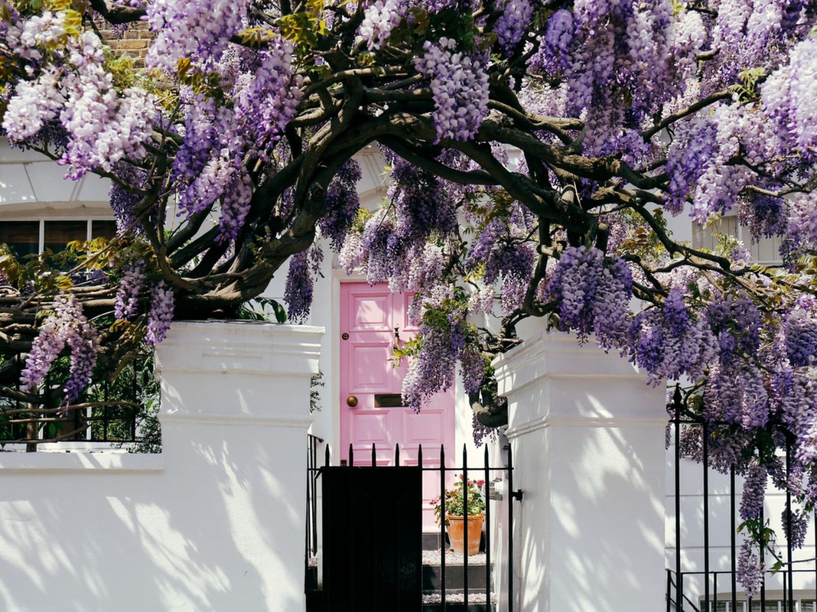 Puerta rosa de la entrada de una casa. Puerta rosa de la entrada de una casa.