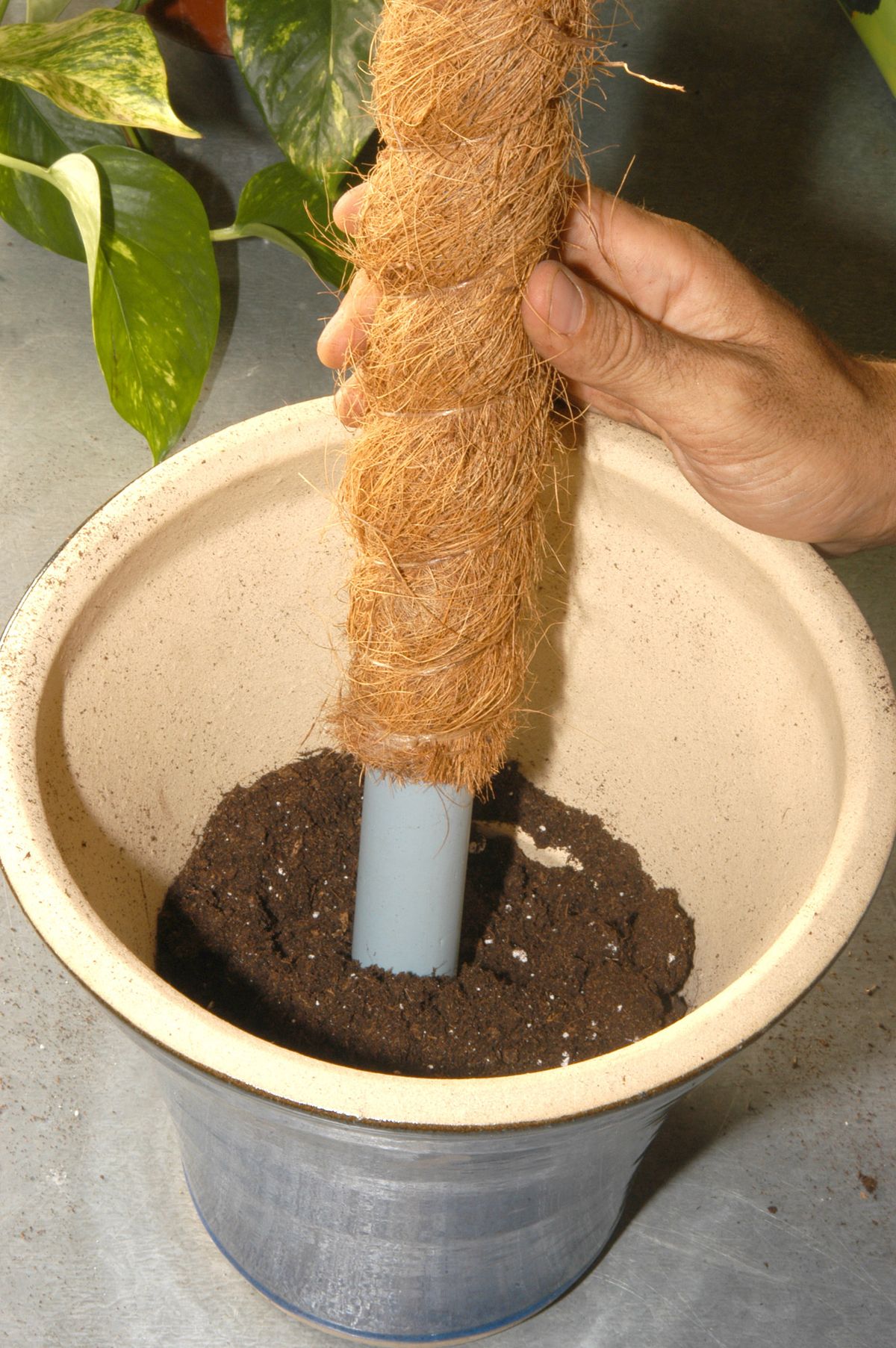 Convertir poto colgante en poto vertical p3