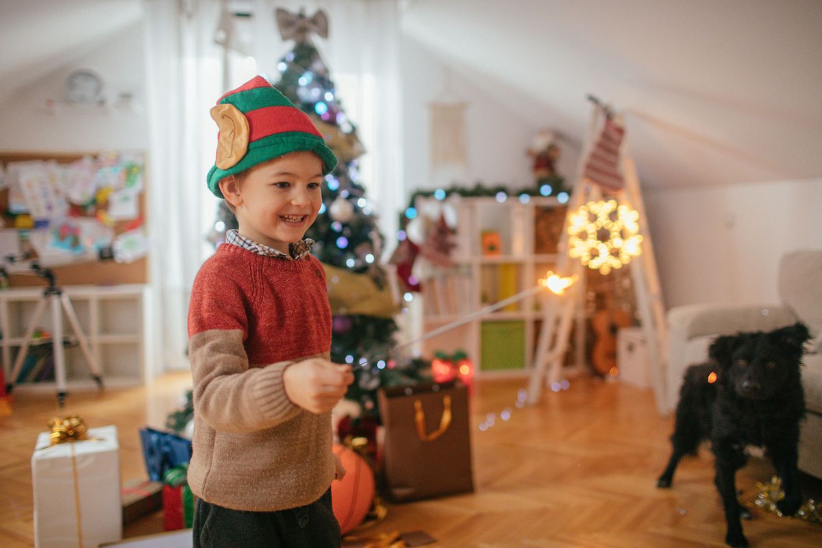mascotas miedo petardos fiestas