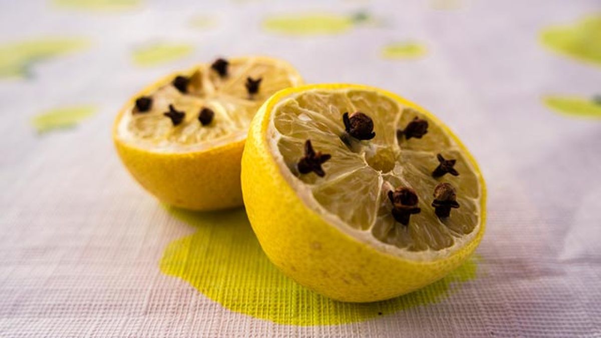 remedios caseros para ahuyentar moscas casa