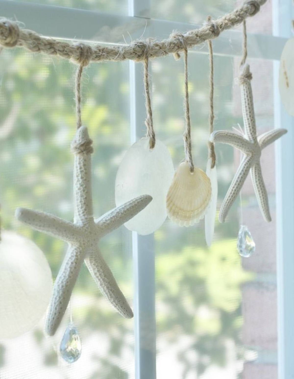 Guirnalda de estrellas de mar adornando la ventana.