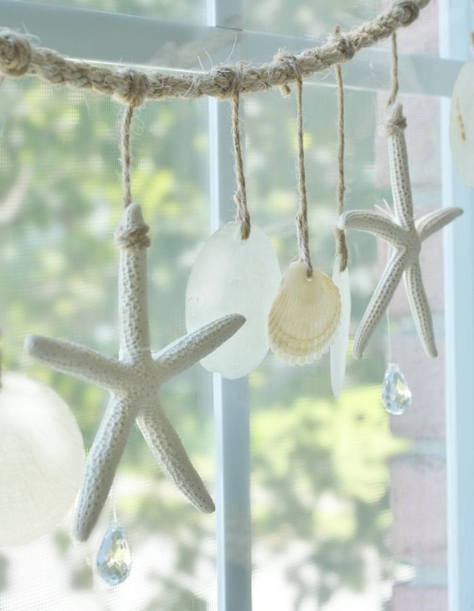 Guirnalda de estrellas de mar adornando la ventana. Guirnalda de estrellas de mar adornando la ventana.