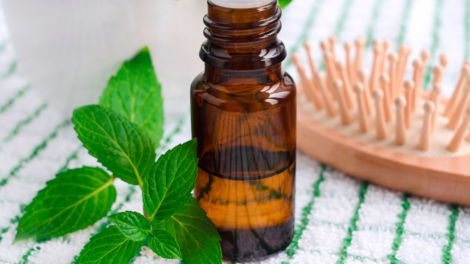 La infusión de ortiga ayuda a fortalecer las raíces La infusión de ortiga ayuda a fortalecer las raíces