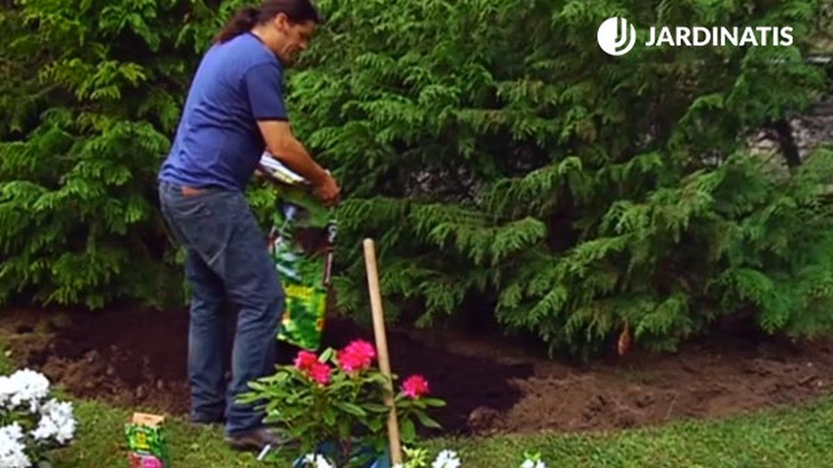 sustrato acido para plantacion de jardin azaleas rododendros brico 699 jardin