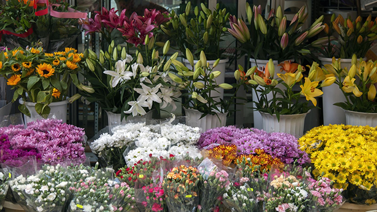 flores para regalar en el dia de la madre flores para regalar en el dia de la madre