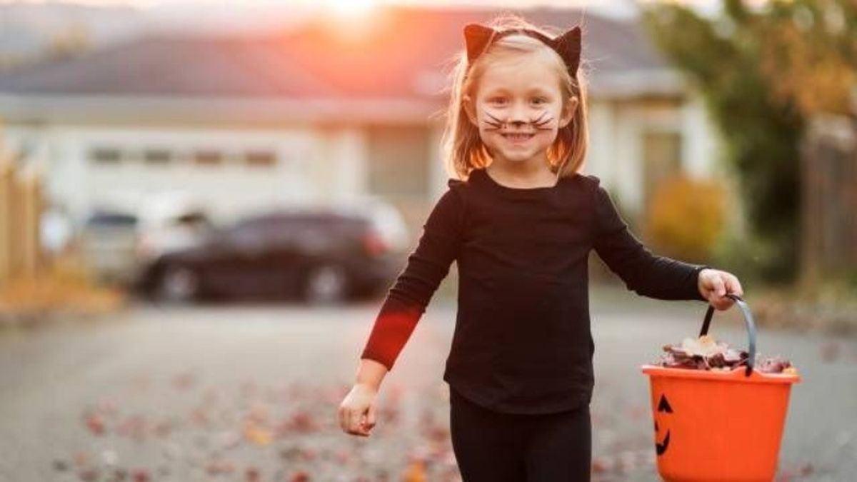 El maquillaje de gato es de los más sencillos para los niños que no quieren pintarse demasiado la cara