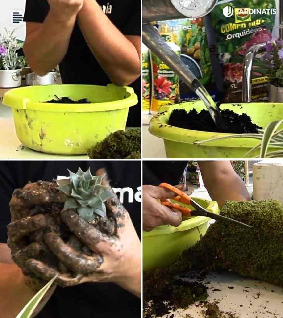 como hacer kokedama paso a paso 1