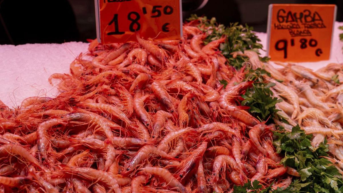 Gambas rojas y blancas en el mercado