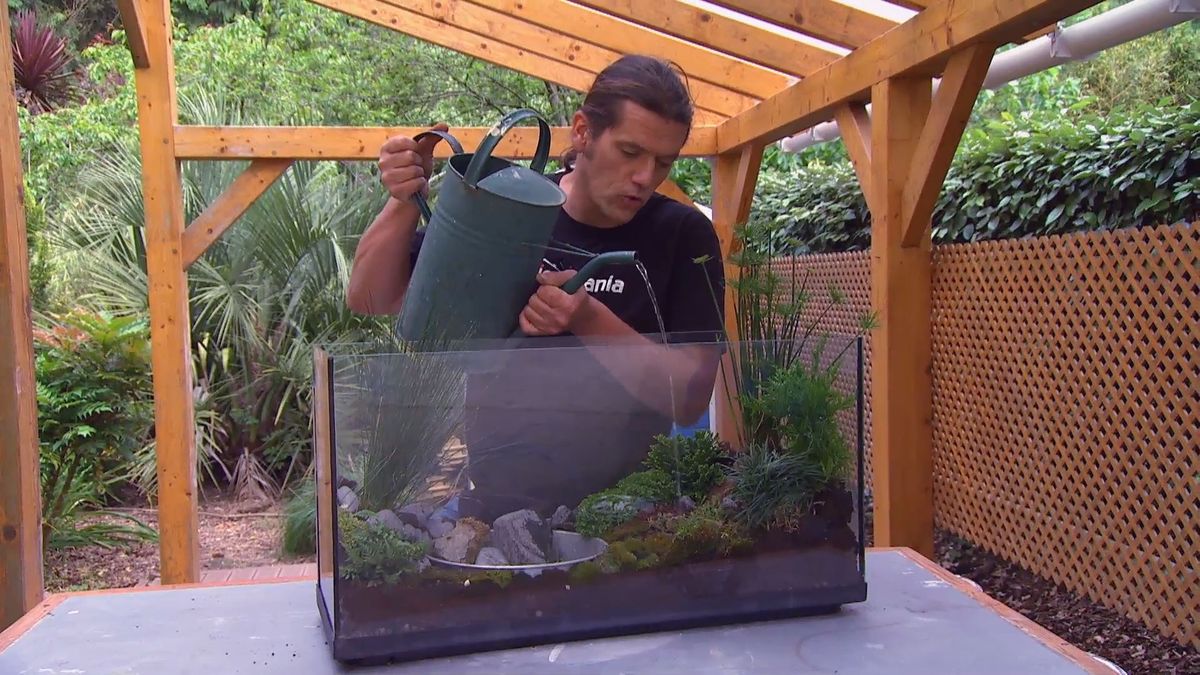 brico 881 3 humedal pecera paso 5