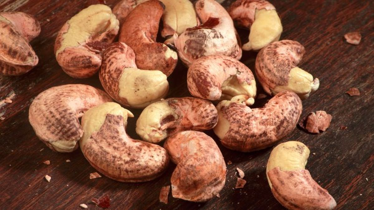 Anacardos tostados con cáscara