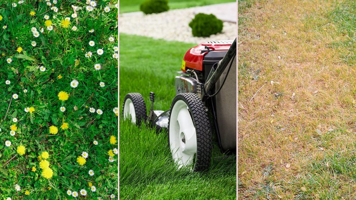 cuidado del cesped segun estacion del ano