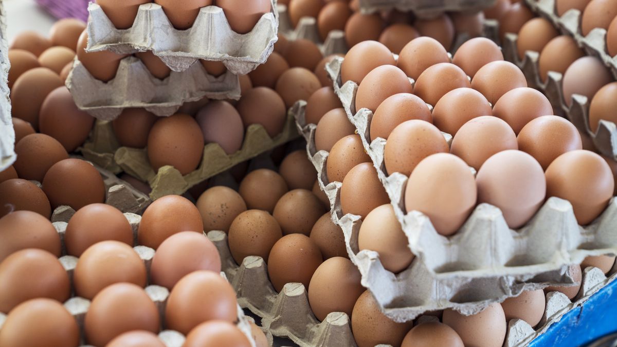 Los huevos son uno de los alimentos más consumidos en el mundo