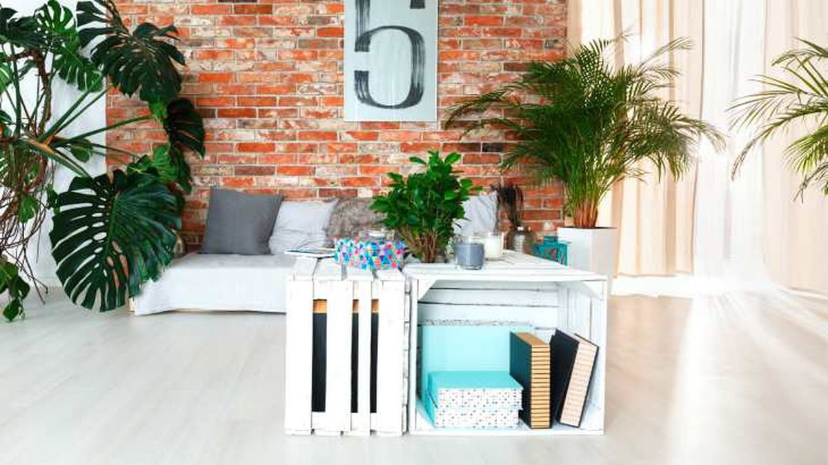 reutilizar huacales 2