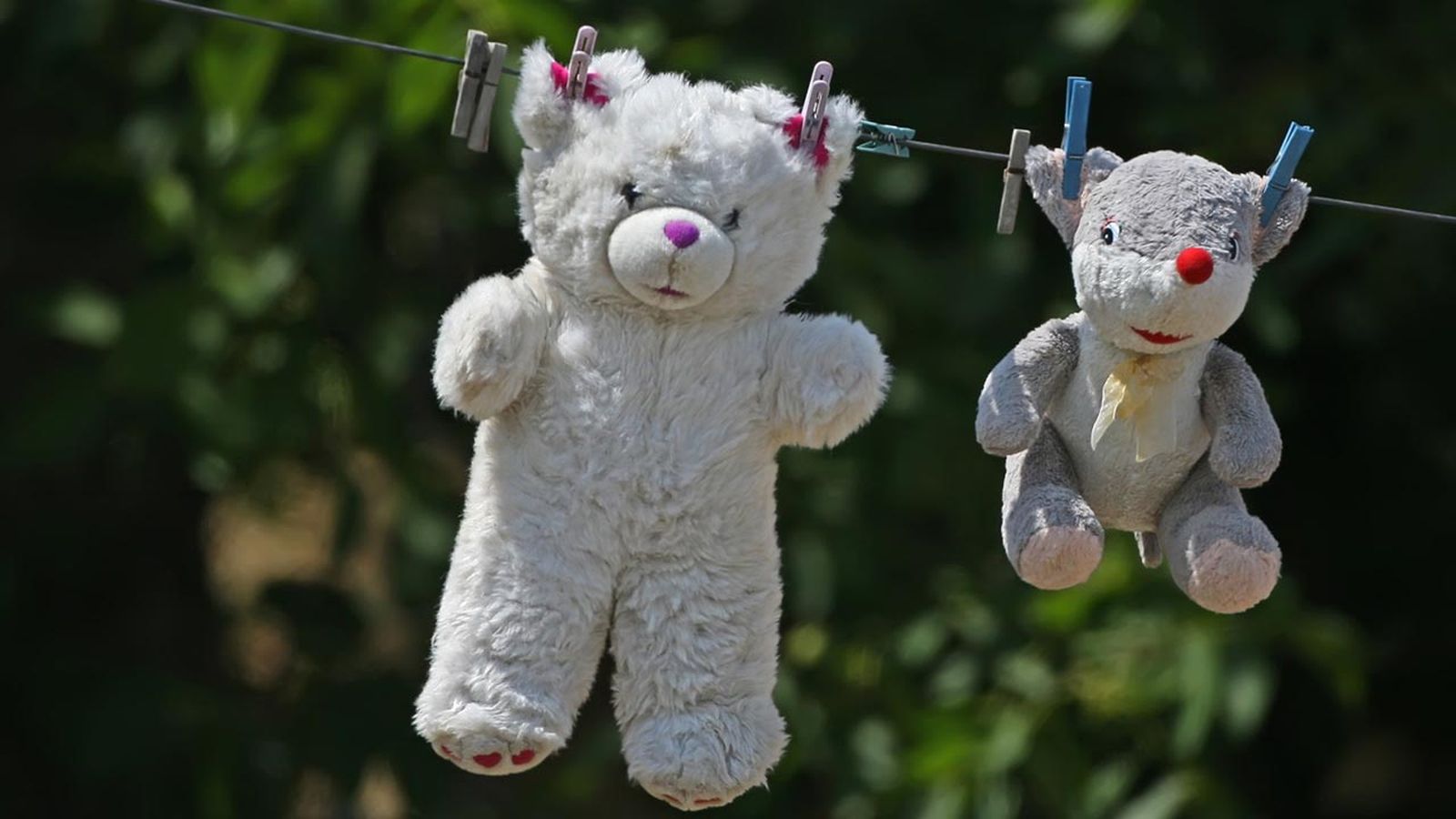 limpiar peluches