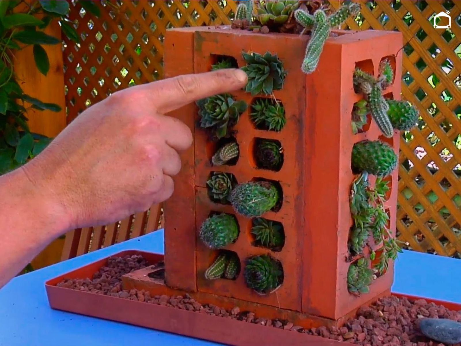 Mini jardín vertical para suculentas con ladrillos. Mini jardín vertical para suculentas con ladrillos.