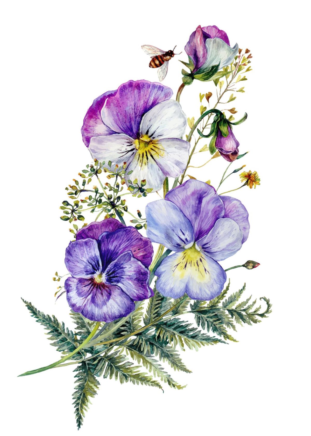 Ilustración de flor pensamientos.