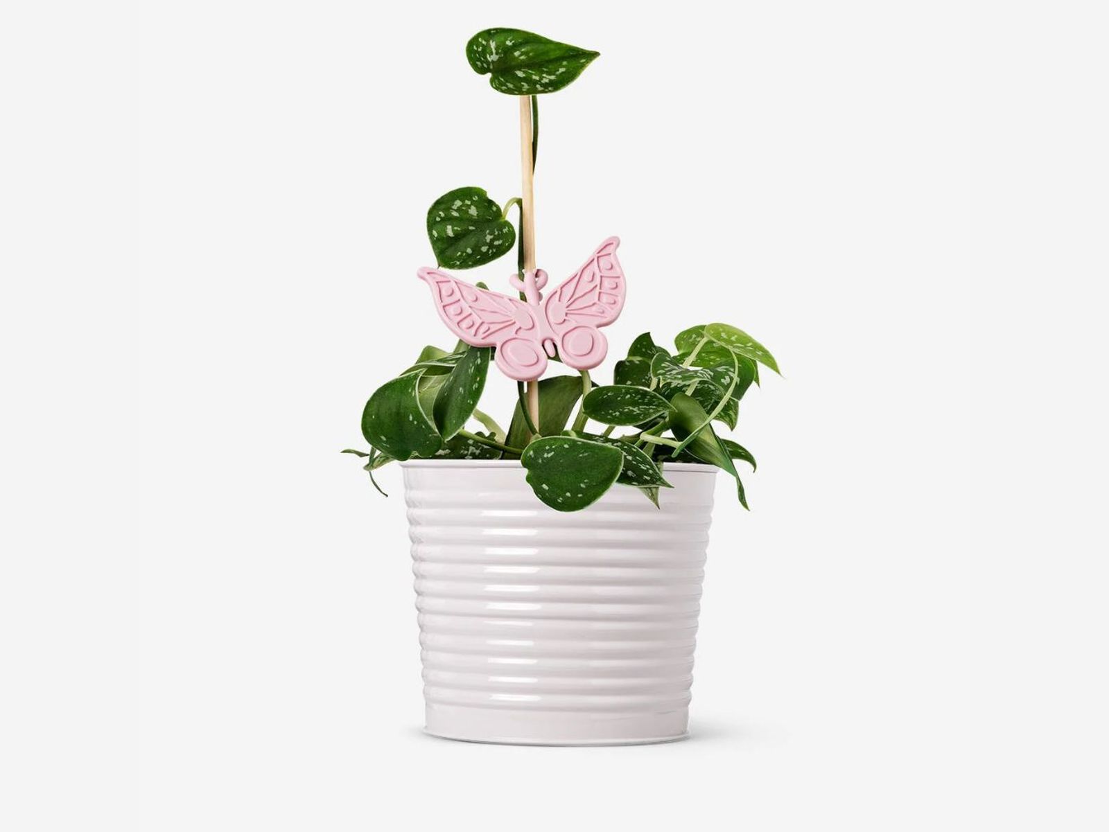 Soportes para plantas en forma de mariposa Soportes para plantas en forma de mariposa
