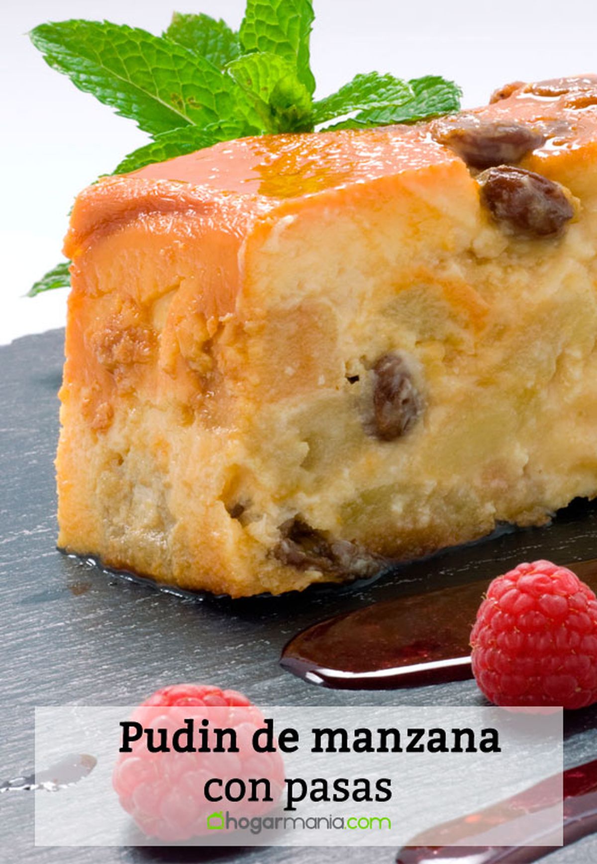 pudin manzana pasas pin