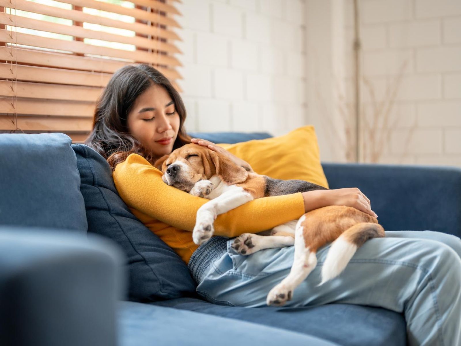 Mujer relajada con un perrito en el sofá. Mujer relajada con un perrito en el sofá.