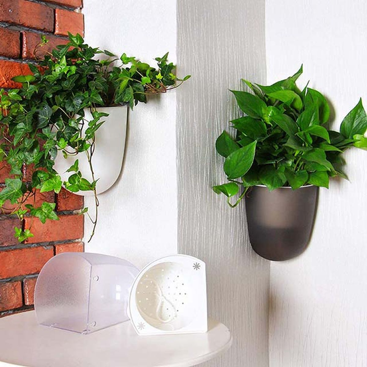 macetero esquina pared