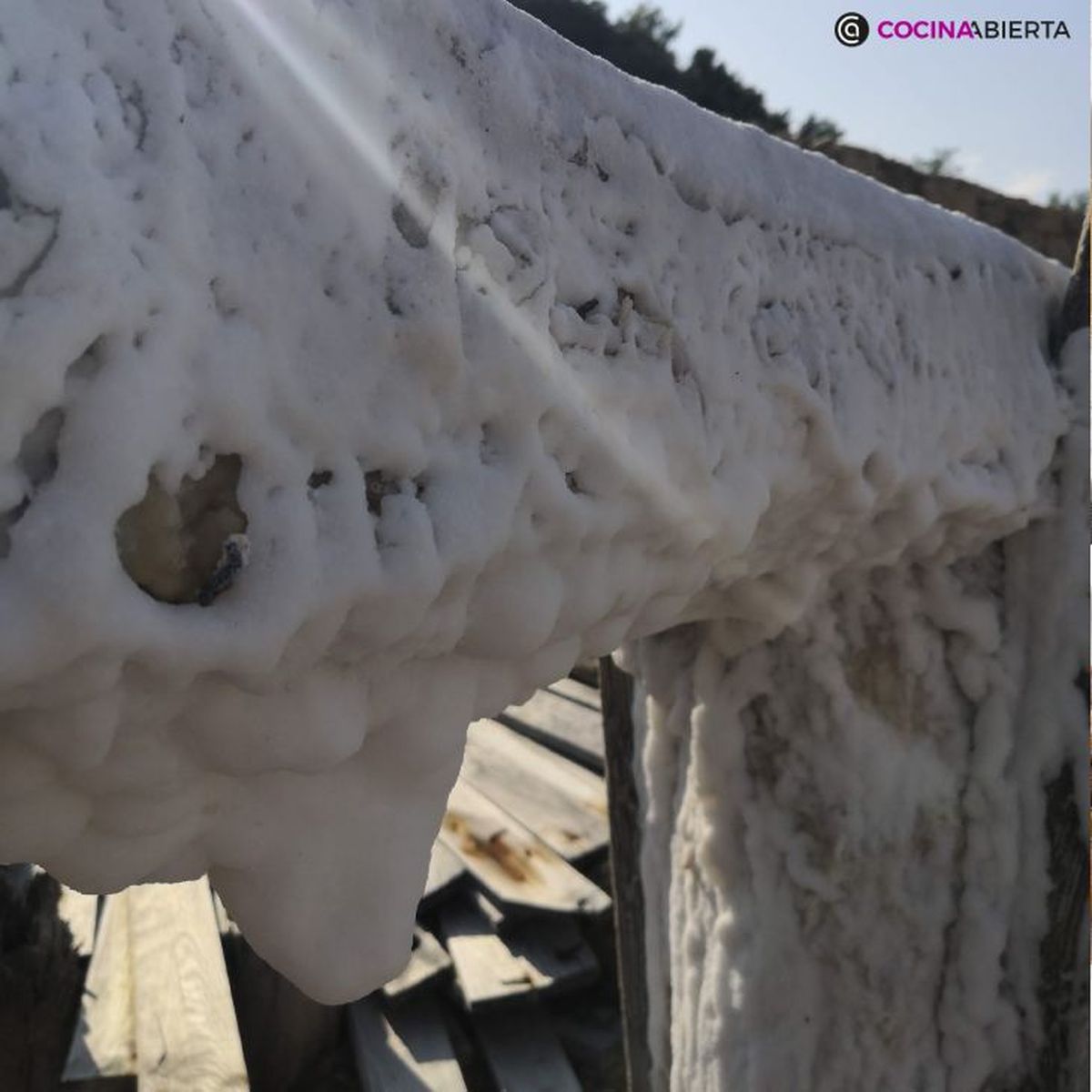 Estalactitas de sal durante el recorrido por el Valle Salado