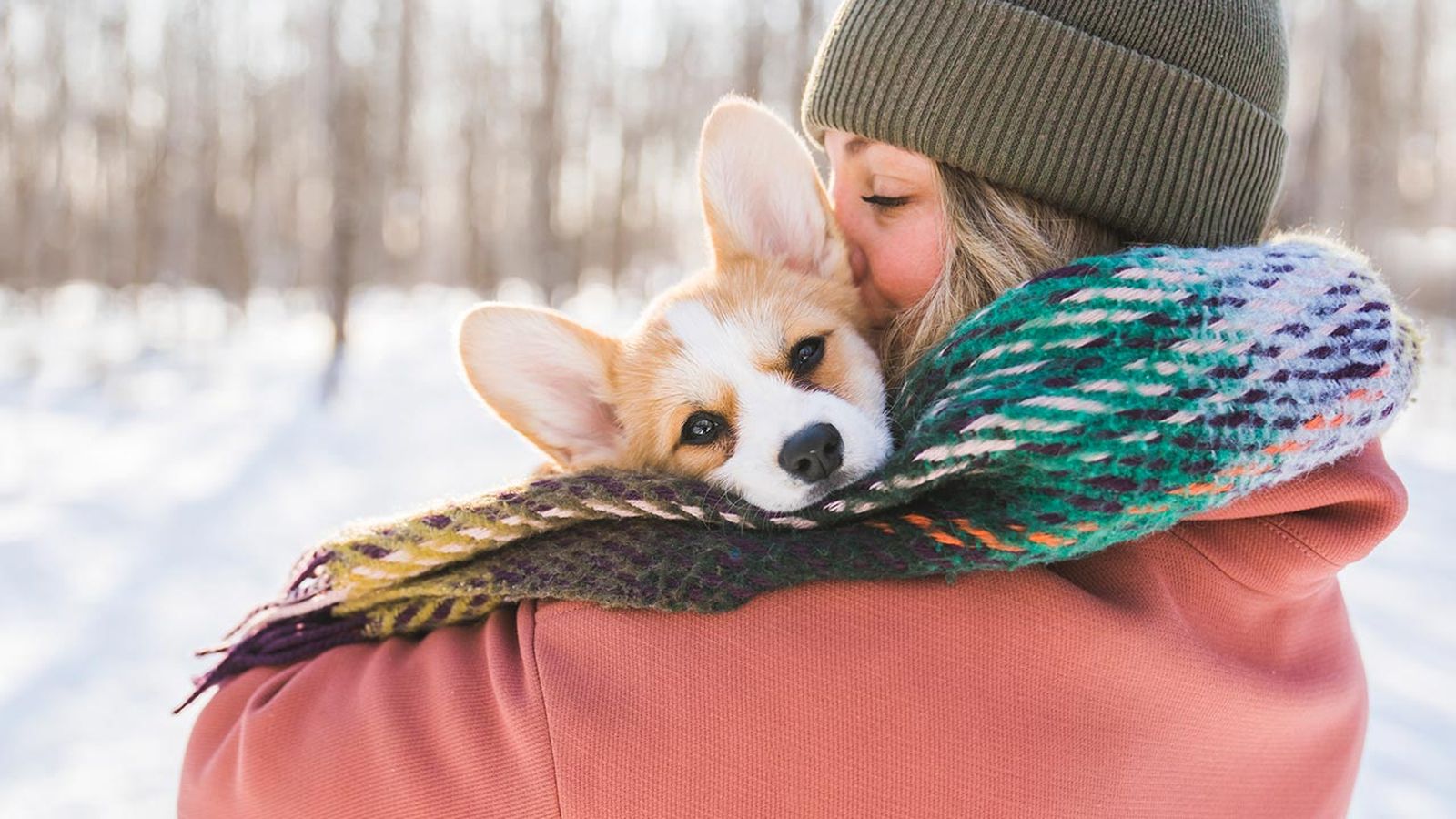 consejos pasear perros invierno portada