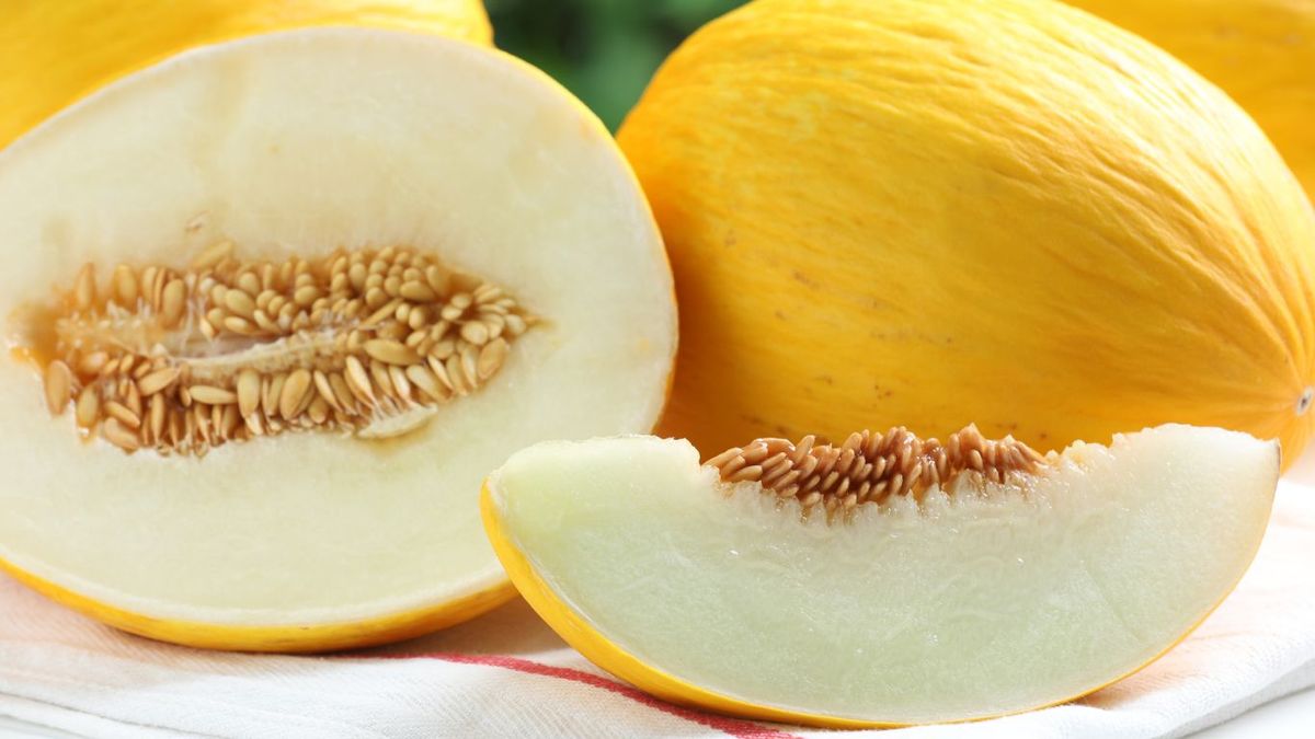 Melón amarillo