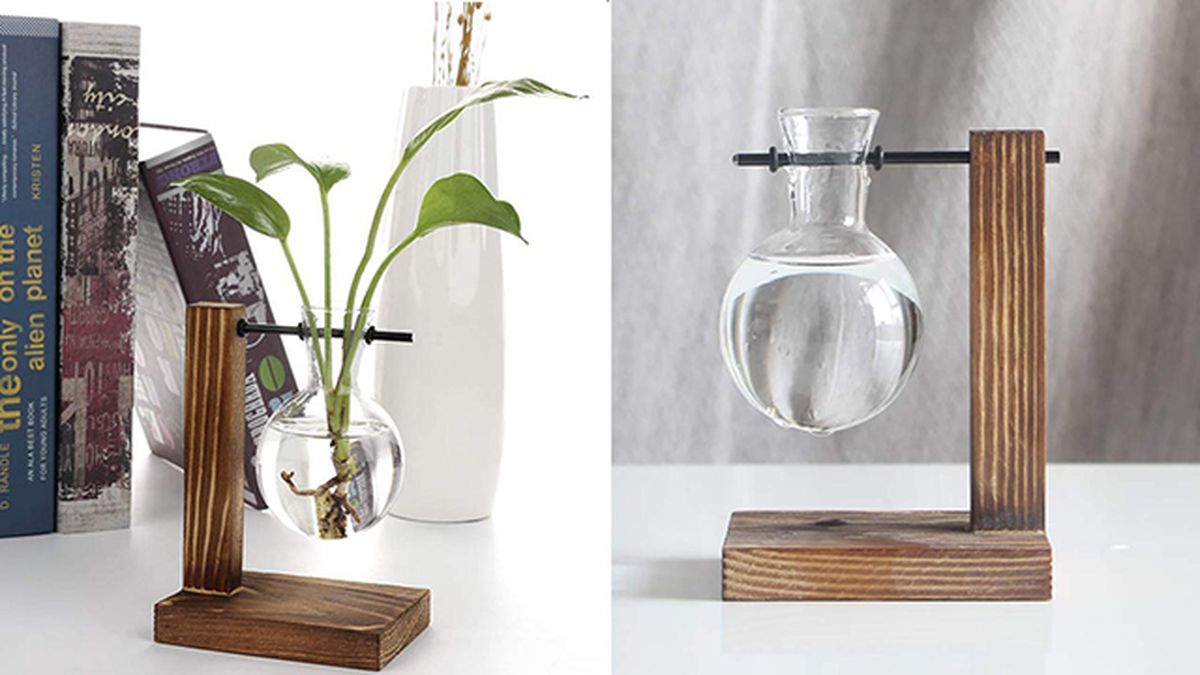 regalos amantes jardineria jarron plantas agua