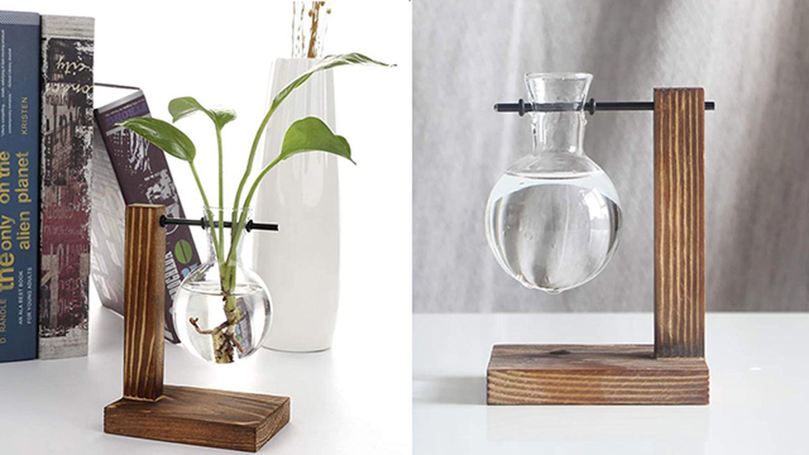 regalos amantes jardineria jarron plantas agua regalos amantes jardineria jarron plantas agua