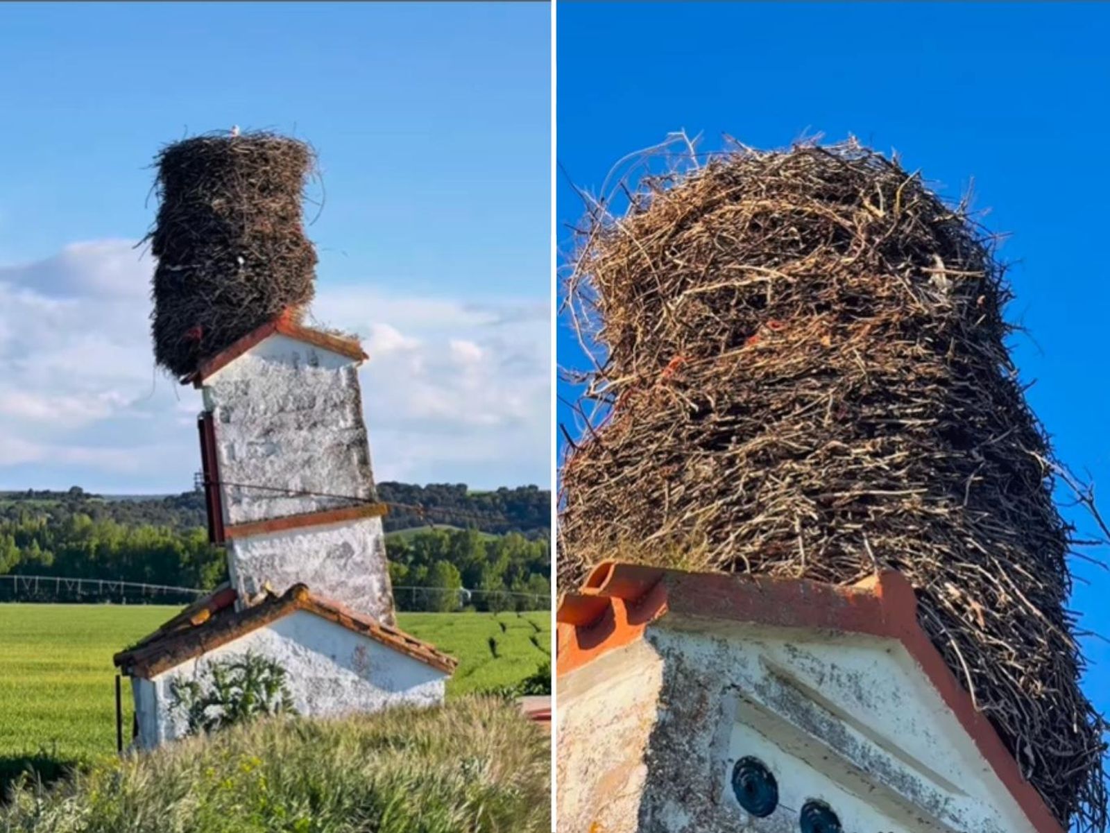 Nido de cigüeña en una torre inclinada Nido de cigüeña en una torre inclinada