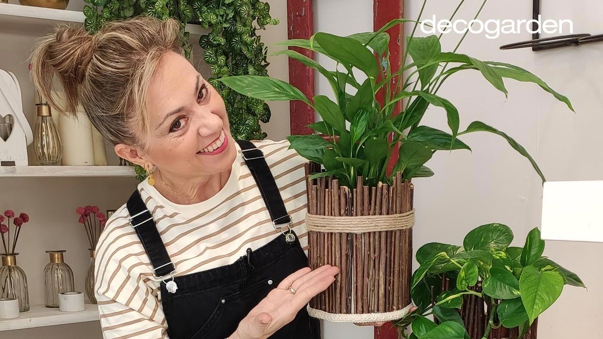 Maceta reciclando un bote pintura. 