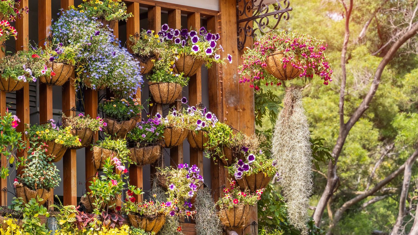 El espacio es el factor clave para crear una mini-jungla vertical