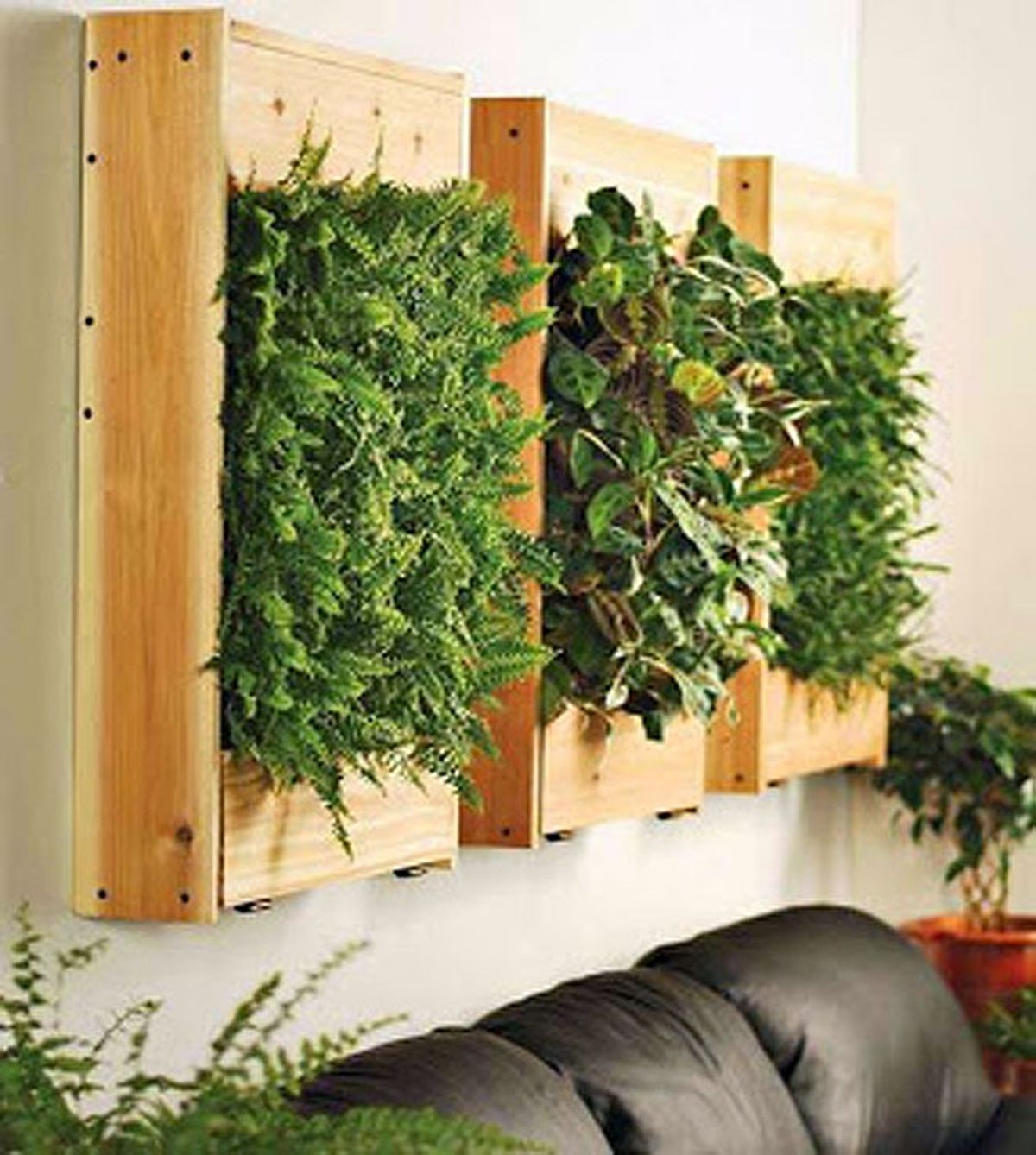 decoracion vegetal jardin interior 6