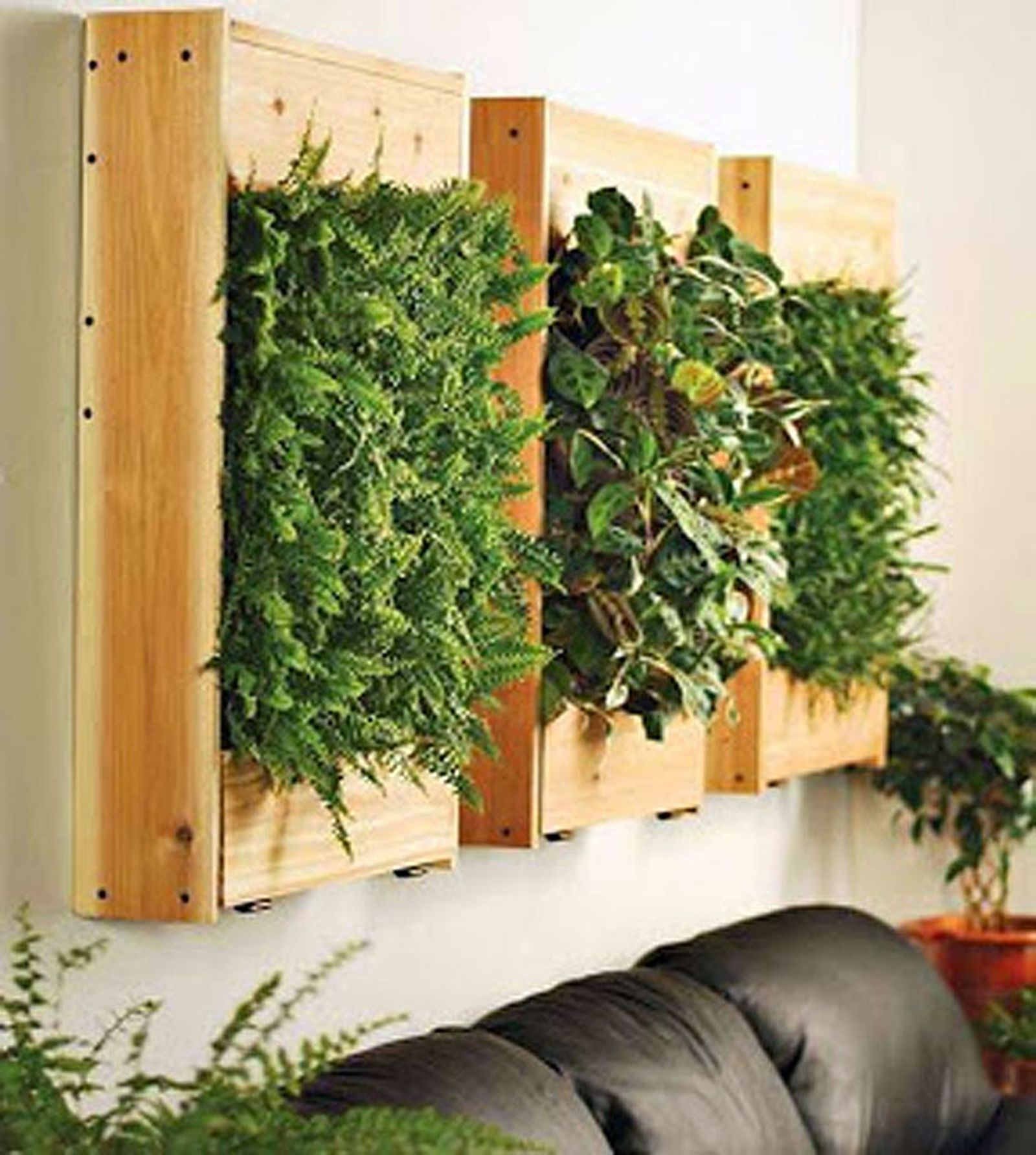 decoracion vegetal jardin interior 6 decoracion vegetal jardin interior 6