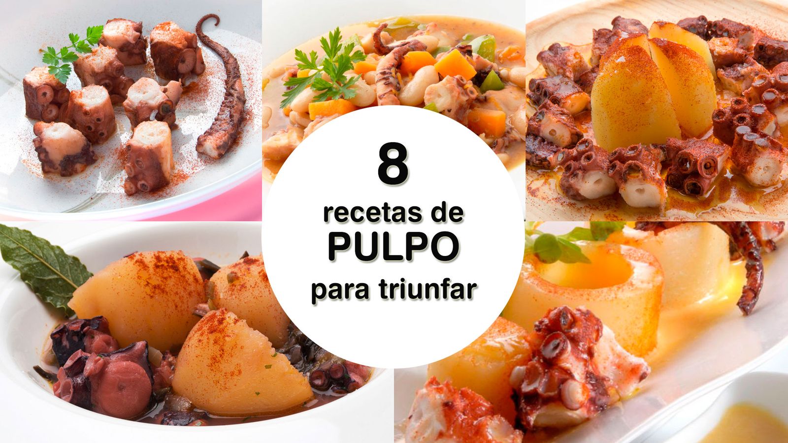 pulpo