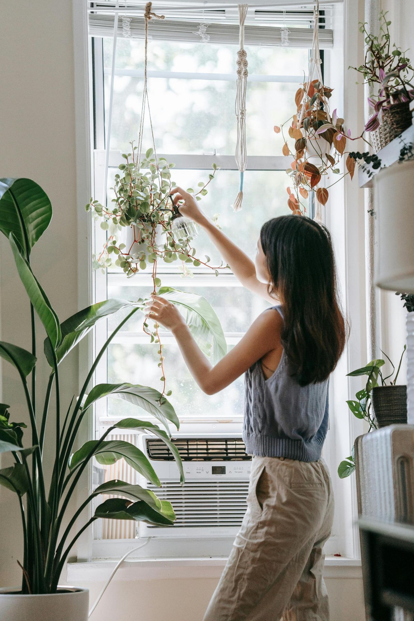 Es normal que las plantas de interior acaben cogiendo polvo en sus hojas.