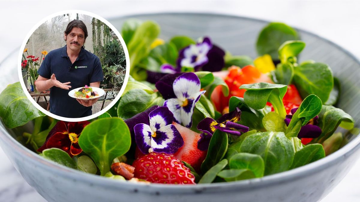 Ensalada de flores