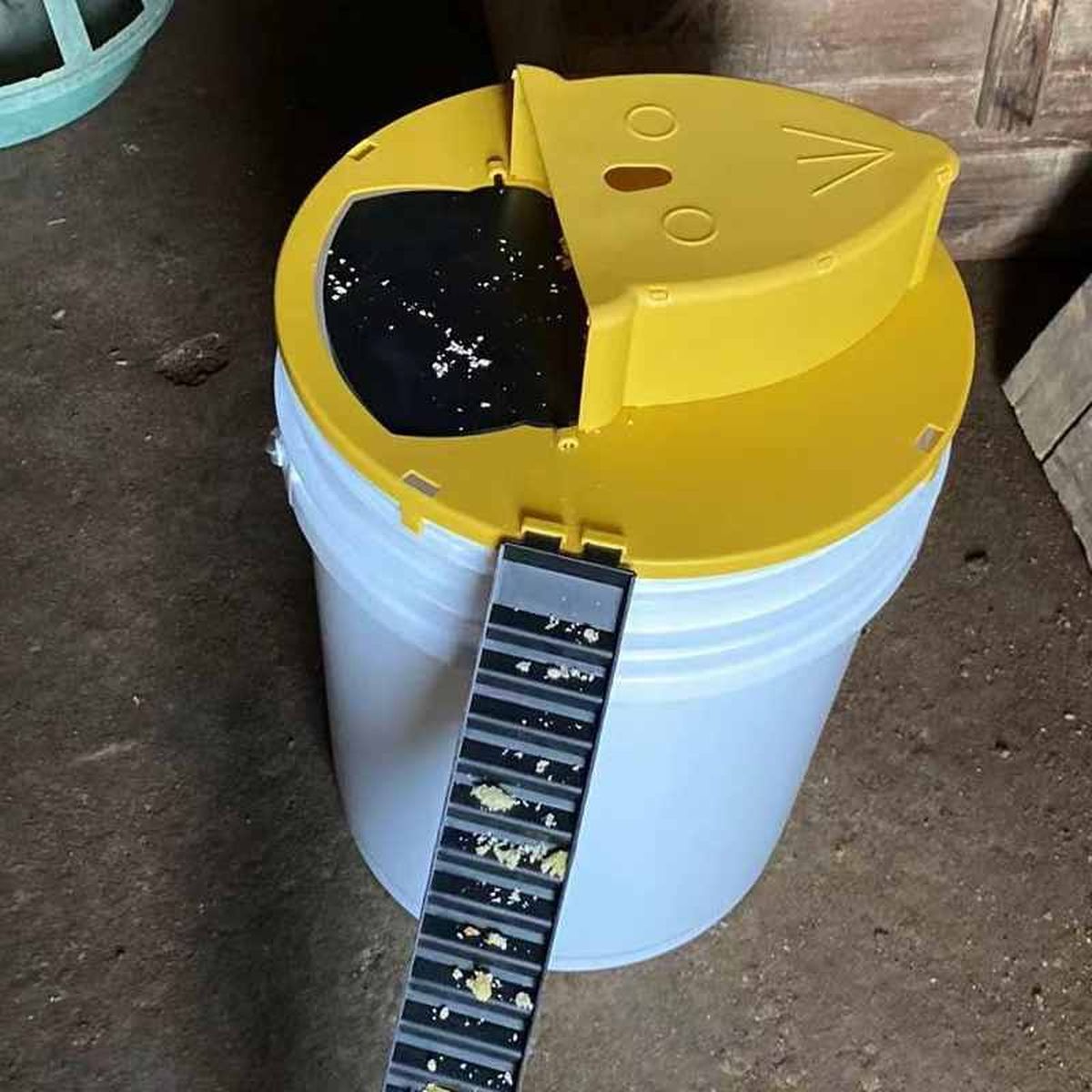 Trampa para ratones no letal / Imagen: Amazon