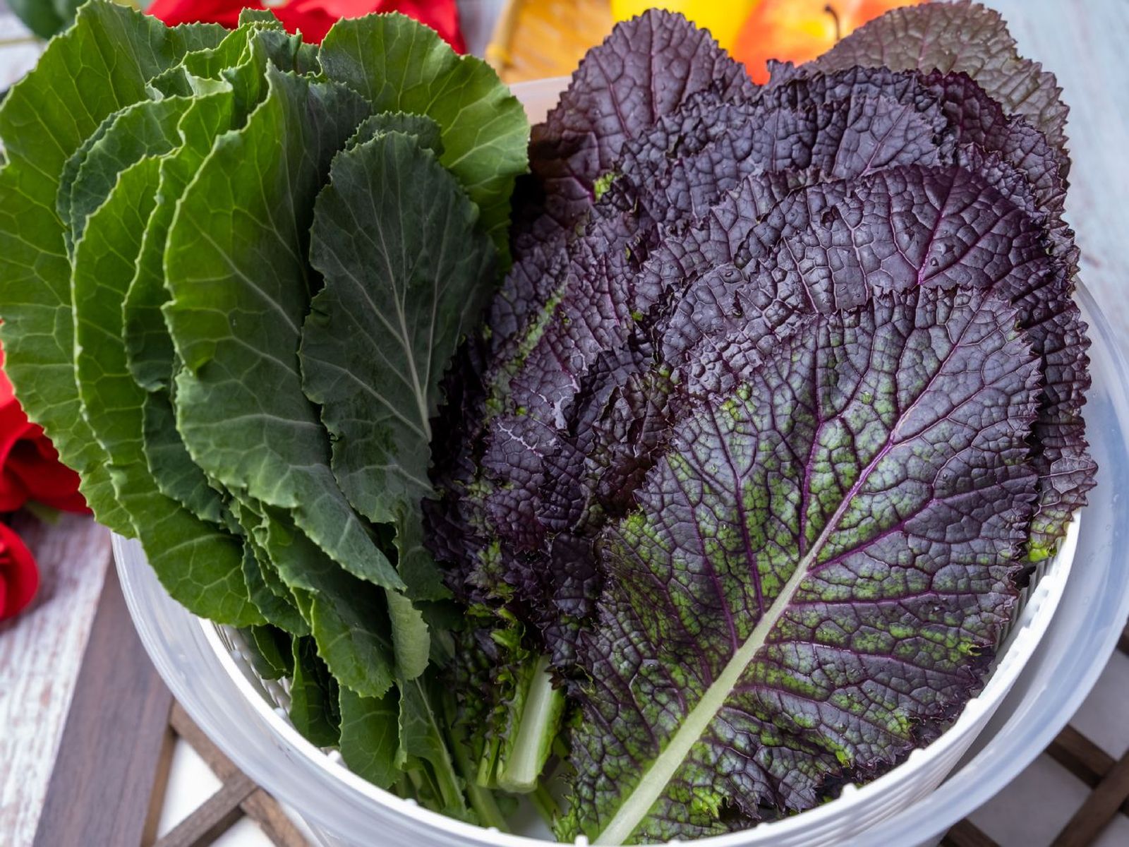 Lechuga mostaza roja