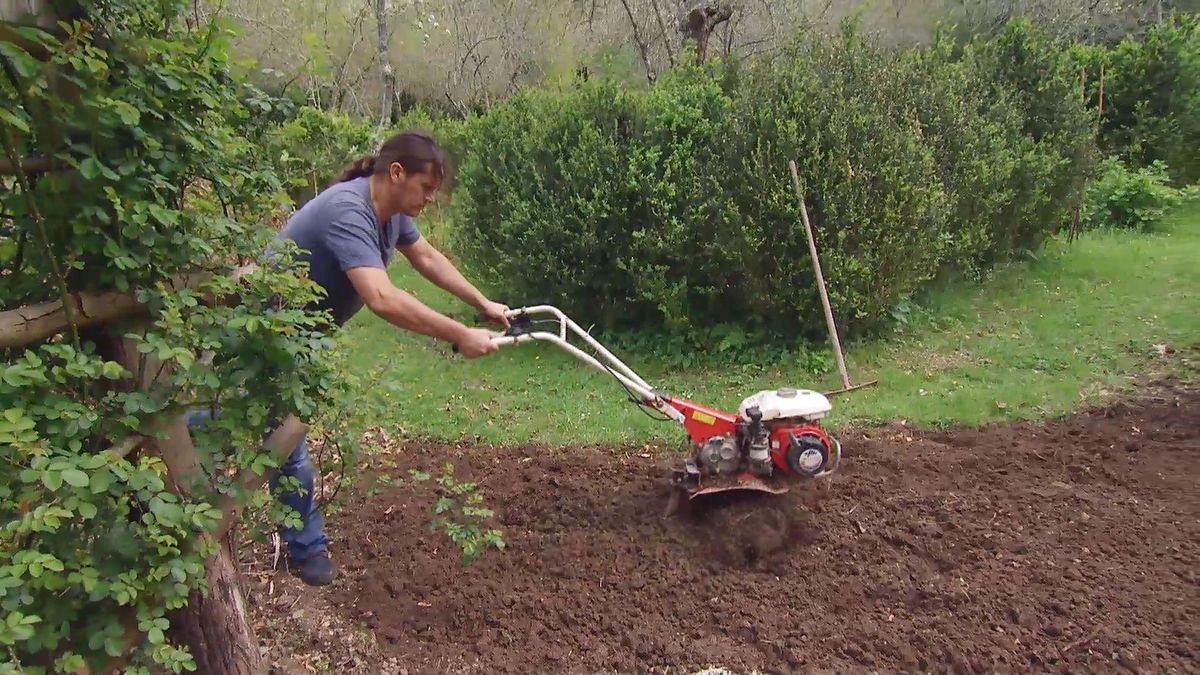 deco 657 jardineria plantar cesped camino paso 1