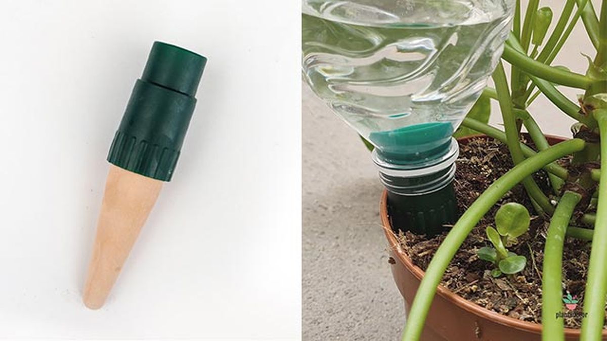 cono ceramico para autorriego con adaptador para botellas