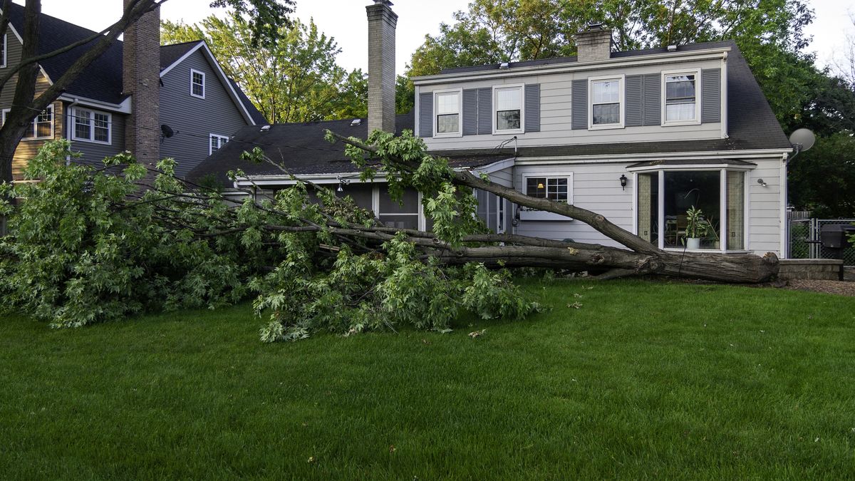 Primero evalúa los daños para saber cómo actuar