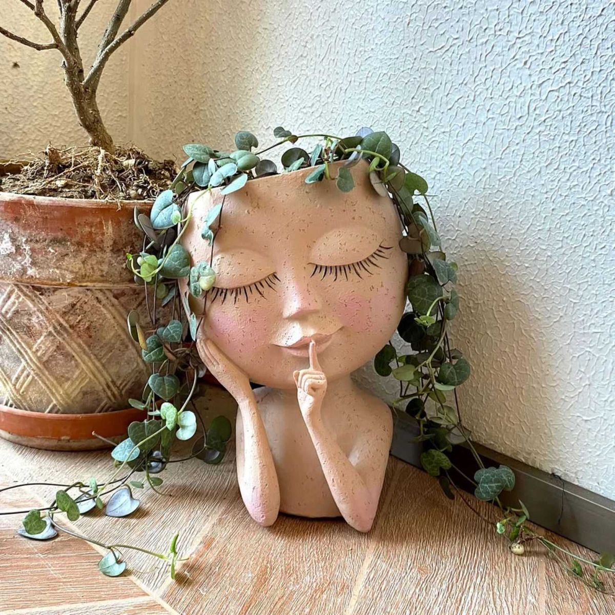 Ceropegia woodii en maceta con cara. / Foto Pinterest de @jardioui