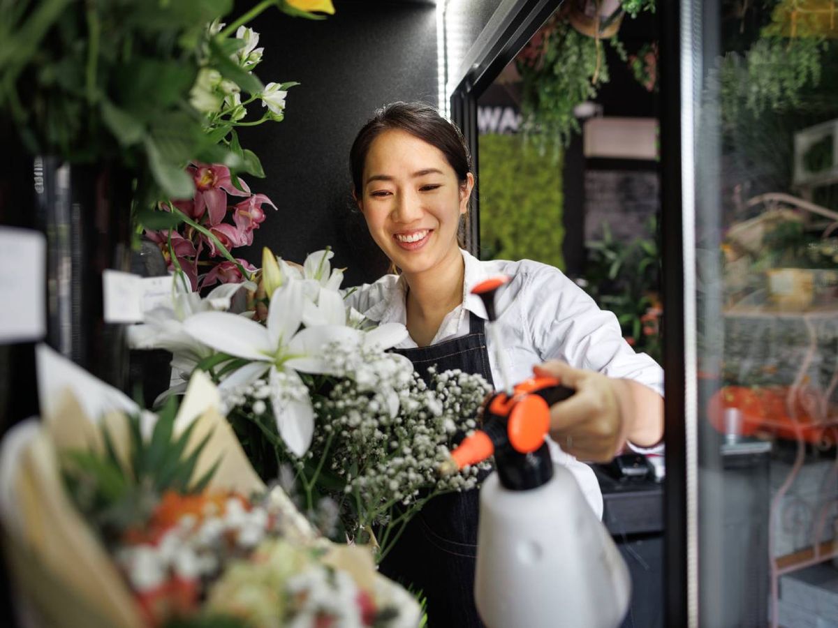 Se priorizan fertilizantes naturales como compost casero, restos de té o café.