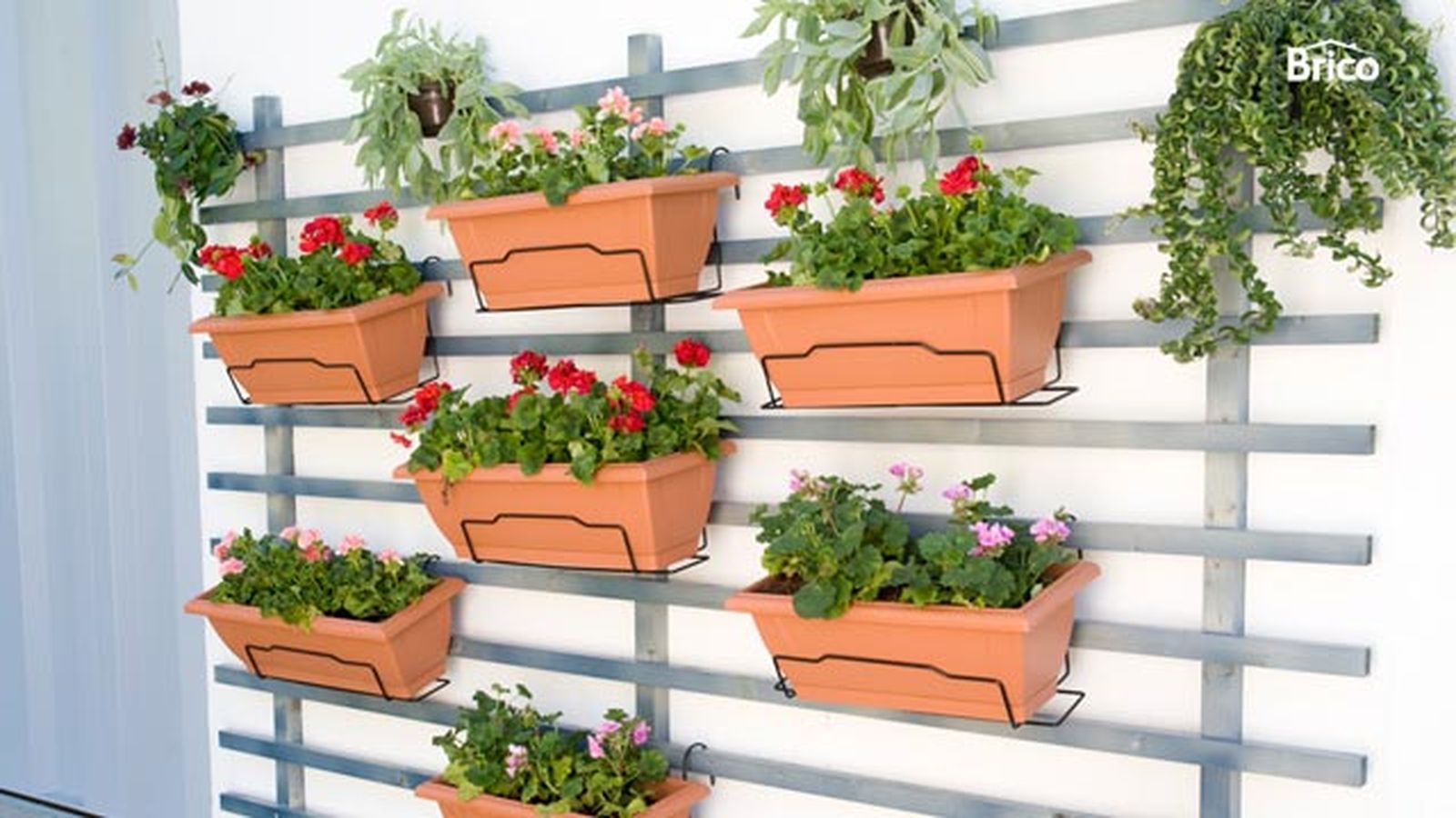 brico 0645 jardin vertical paso 21 detalle brico 0645 jardin vertical paso 21 detalle