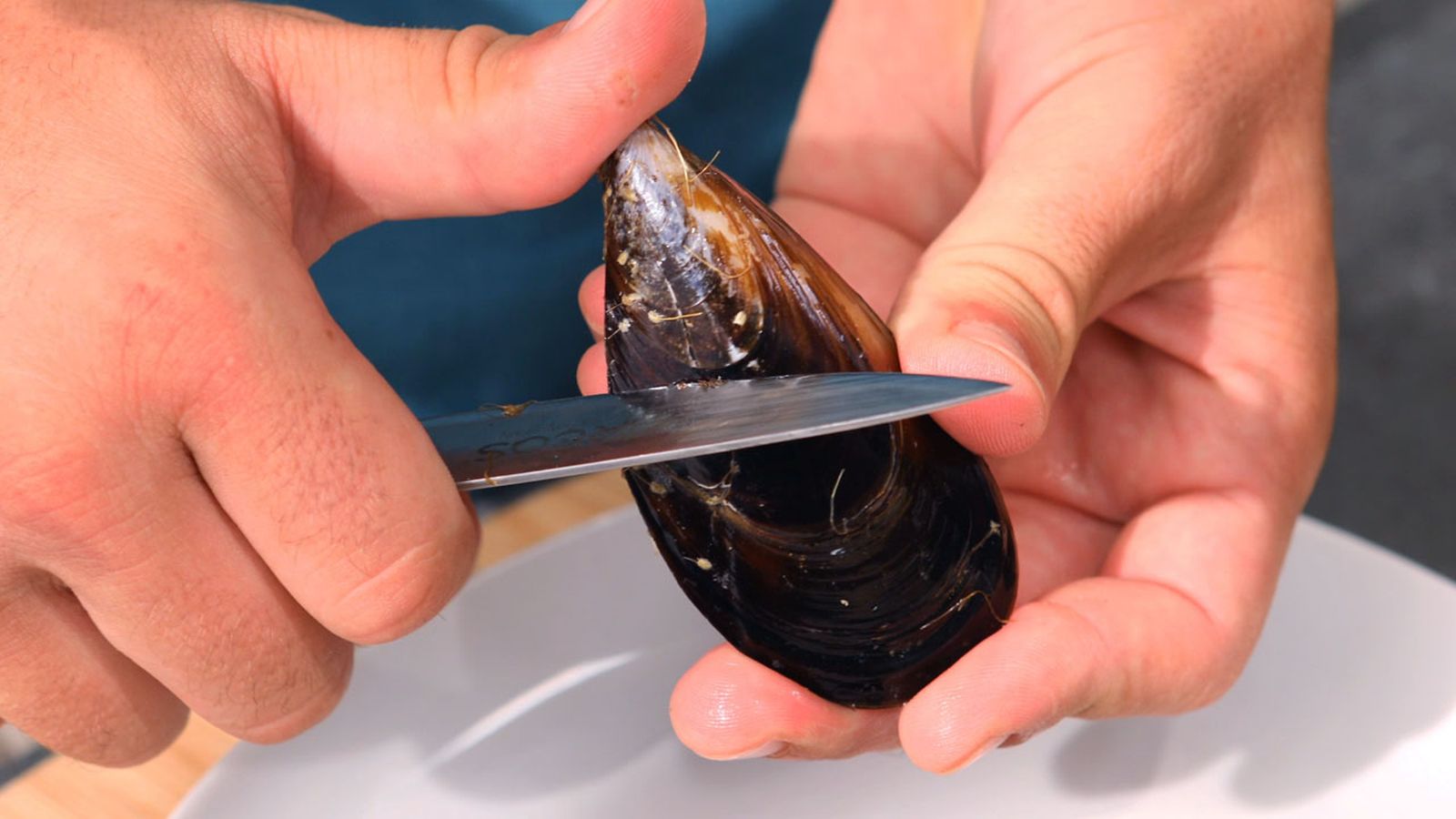 Cómo limpiar mejillones paso a paso Cómo limpiar mejillones paso a paso