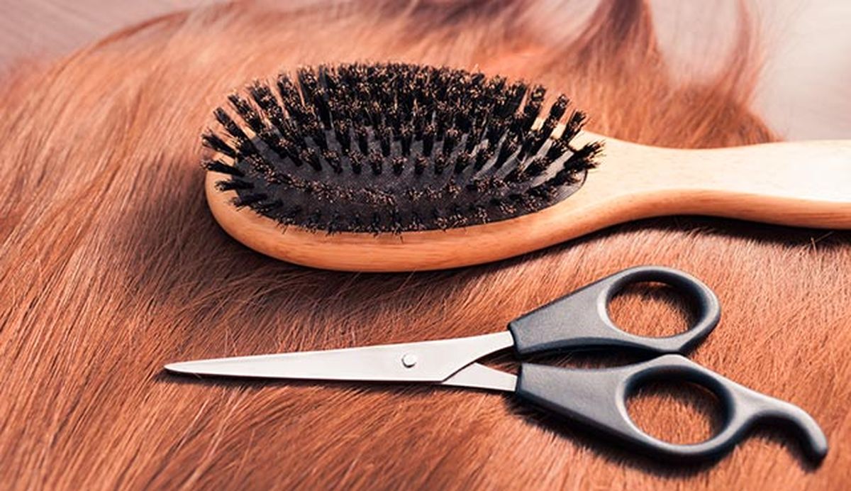 los mejores cepillos para desenredar el pelo sin romperlo jabali