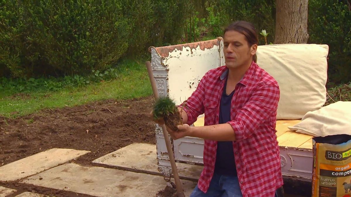 deco 0652 jardineria reverdecer camino losetas ophiopogon minor