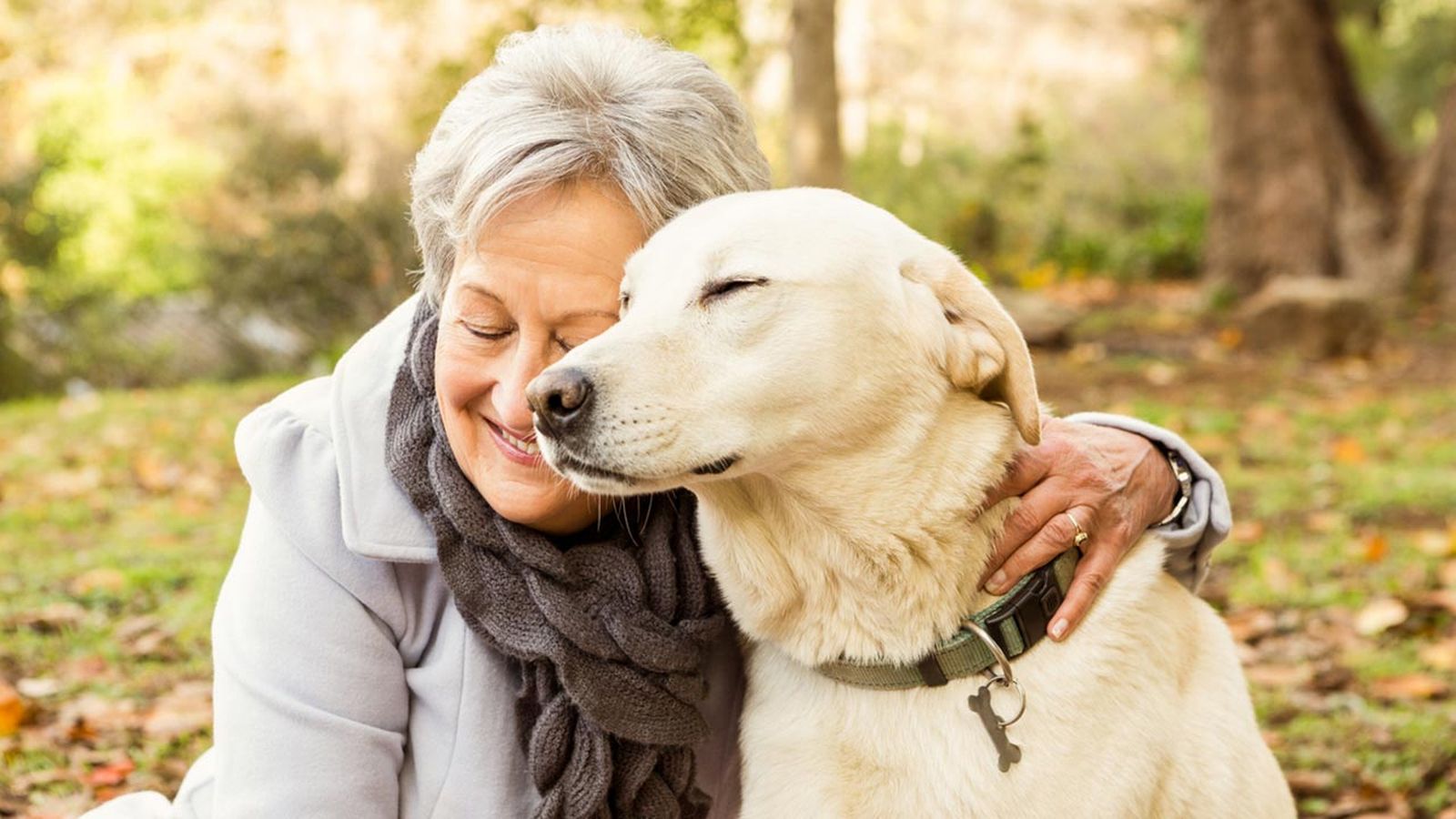 perro con anciana