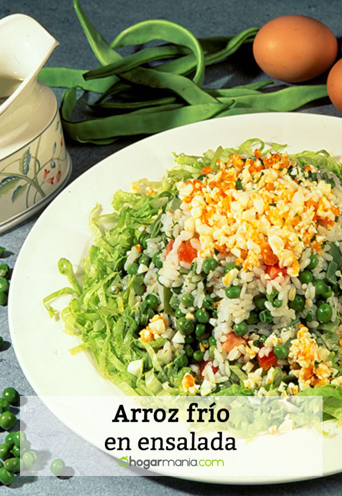 072 1 arroz frio ensalada pin